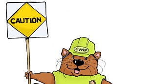 A cartoon otter is holding a construction sign and wearing a hardhat and safety vest. 