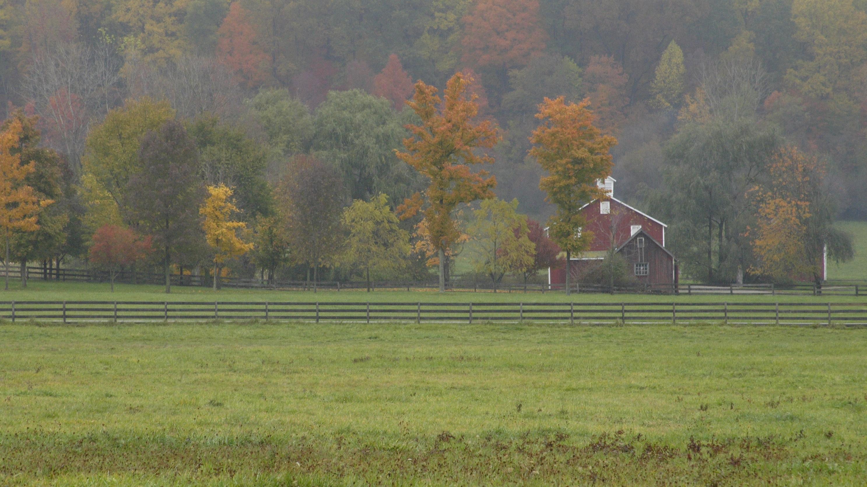 A red barn in the foreground of a forest dappled with various shades of red, orange, and yellow.