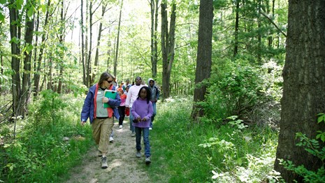 a group of people walking on a trail through the woods