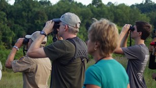 Visitors out on a trail are using binoculars to watch wildlife. 
