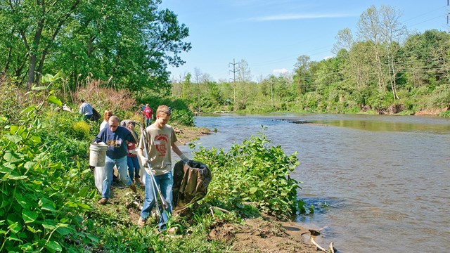 Volunteers carry equipment along the bank of the river, which is covered in green vegetation.