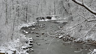 2019 River Celebration