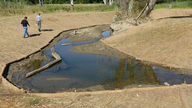 People walking on the banks of a stream covered in straw and fabric. Sandbar with rocks forming.