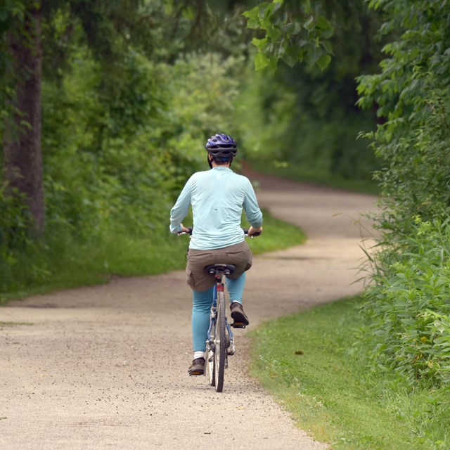 A cyclist rides along a winding gray trail with green plants to the sides.