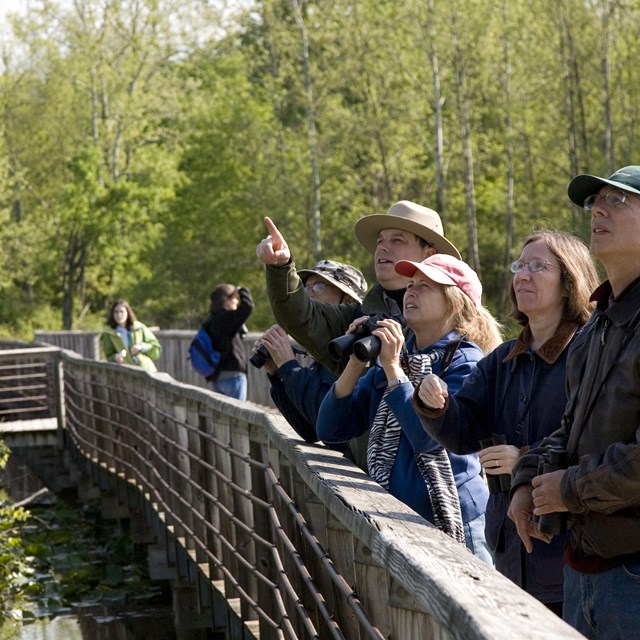 Uniformed ranger stands on a boardwalk with visitors who hold binoculars.