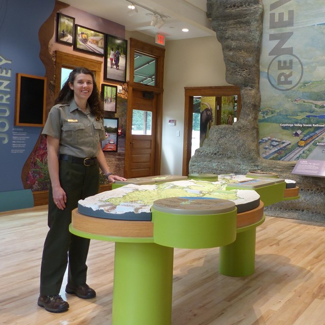 Basic Visitor Information
