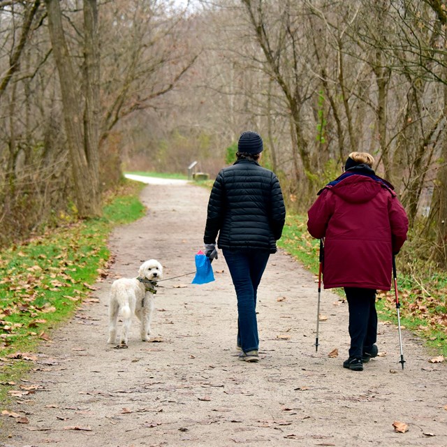 Two people walk a gray path through trees, a leashed white dog to their left.
