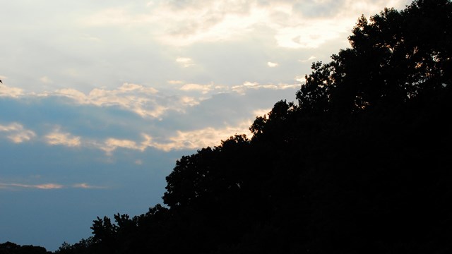A scenic view of nature at Fort Dupont. 