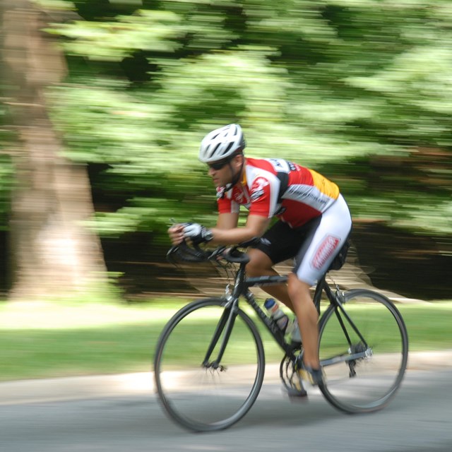 A picture of a man biking through a National Park