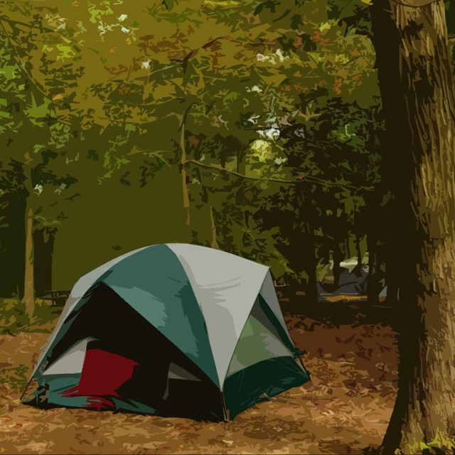A tent in the woods.