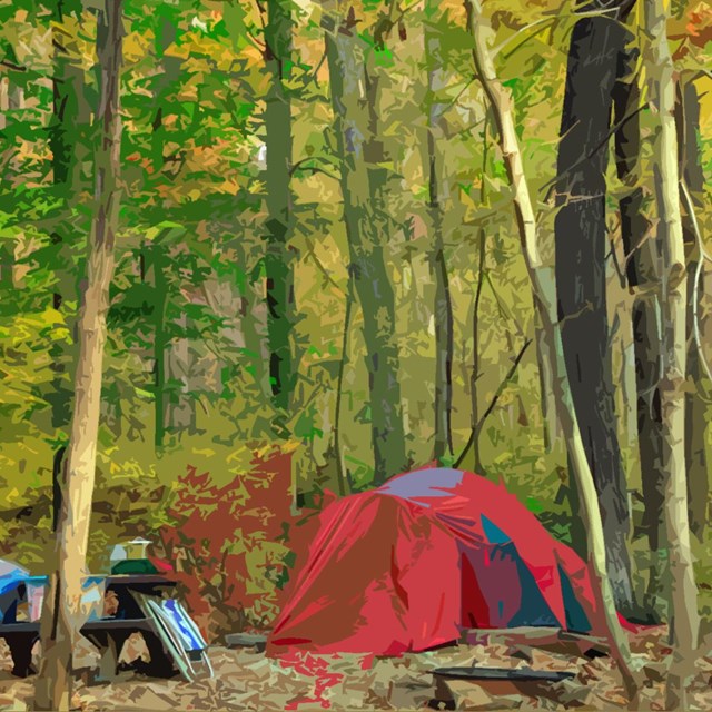 A red dome tent in yellow woods.