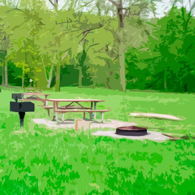 Picnic benches and grills in a grassy field.