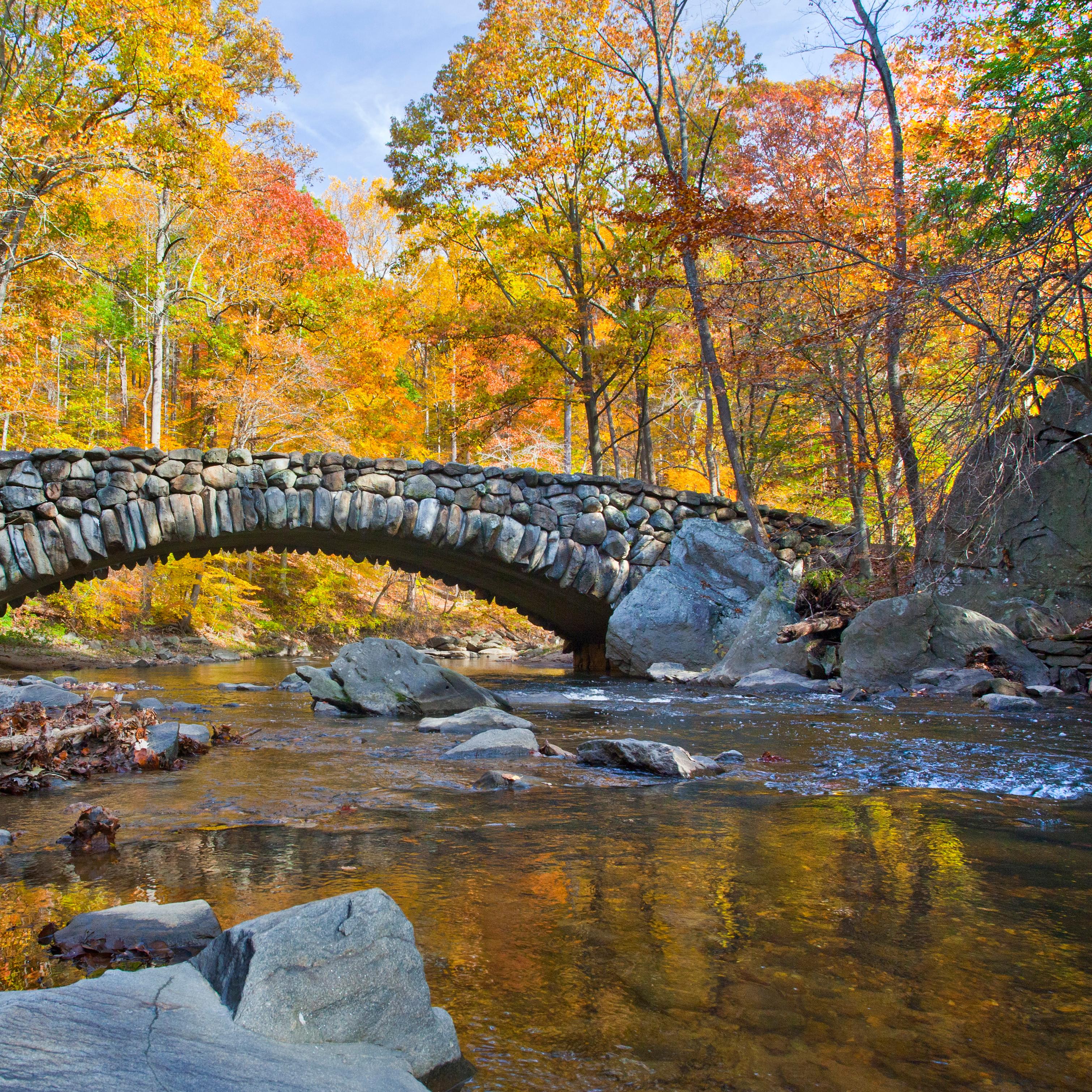 A stone bridge over Rock Creek