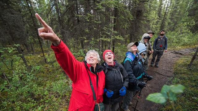 Visitors pause to observe a bird overhead