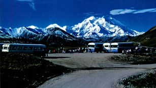 photos of buses stopped and visitors viewing the mountain, Denali