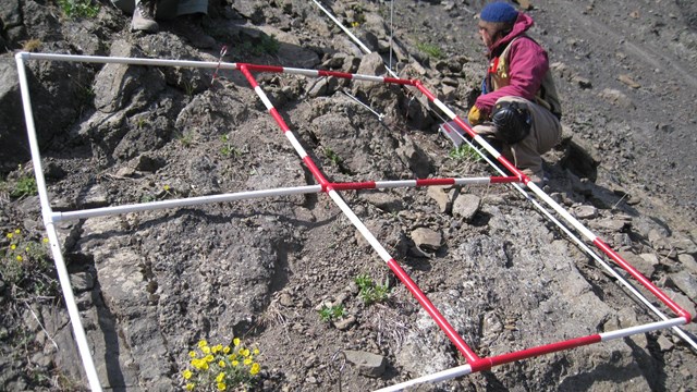 a researcher kneels on a gravel hillside with a quad 