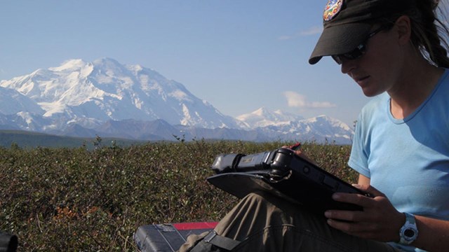 a researcher sits on the tundra with a mountain in the background