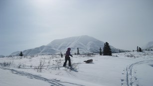 a person snowshoeing through a snowy alpine meadow