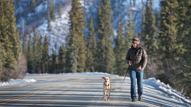 a woman walking a dog on a paved road