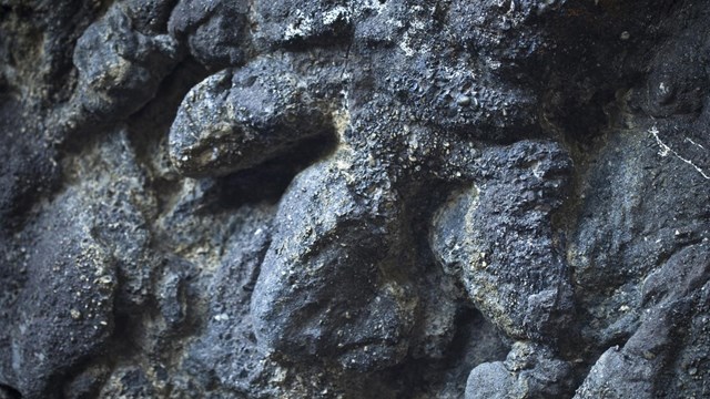 a close up of a three-toed dinosaur track