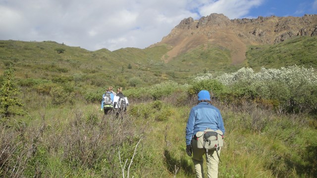 People walking through a brushy landscape