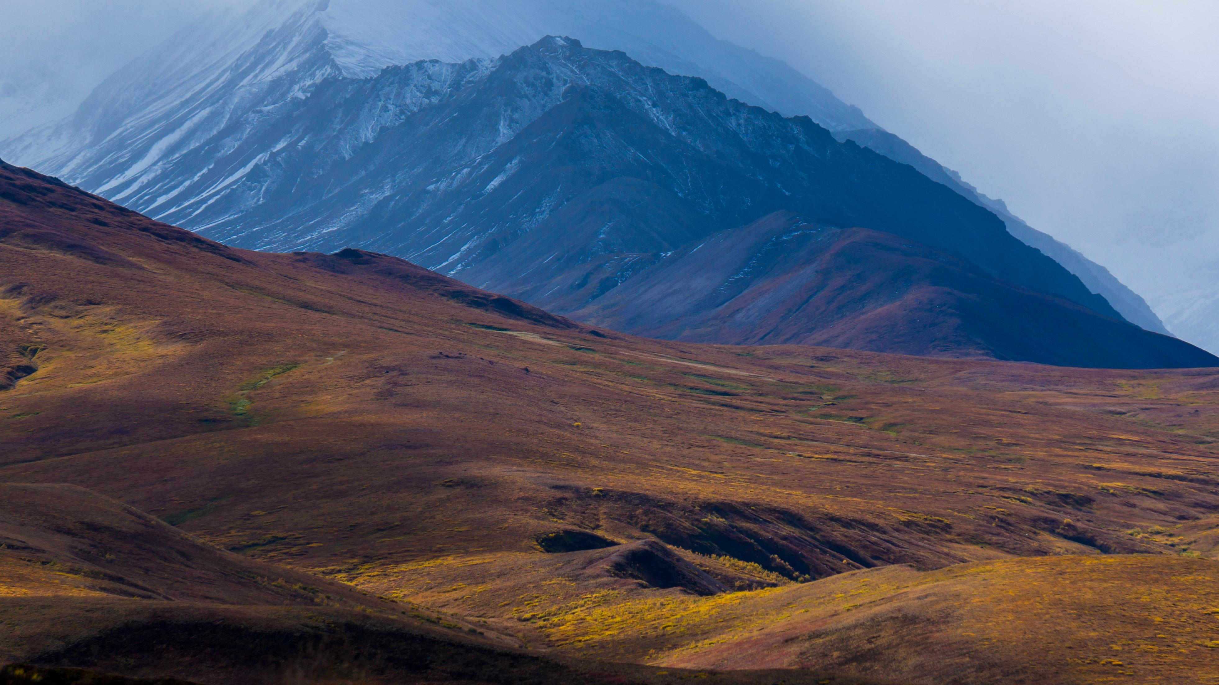 tundra landscape in front of a snowy mountain ridge