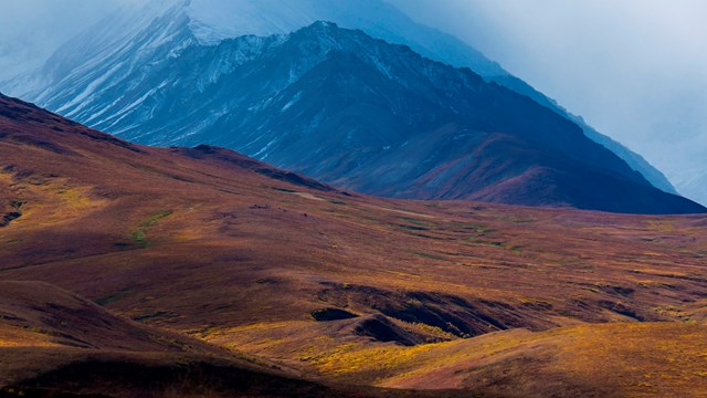 tundra landscape in front of a snowy mountain ridge