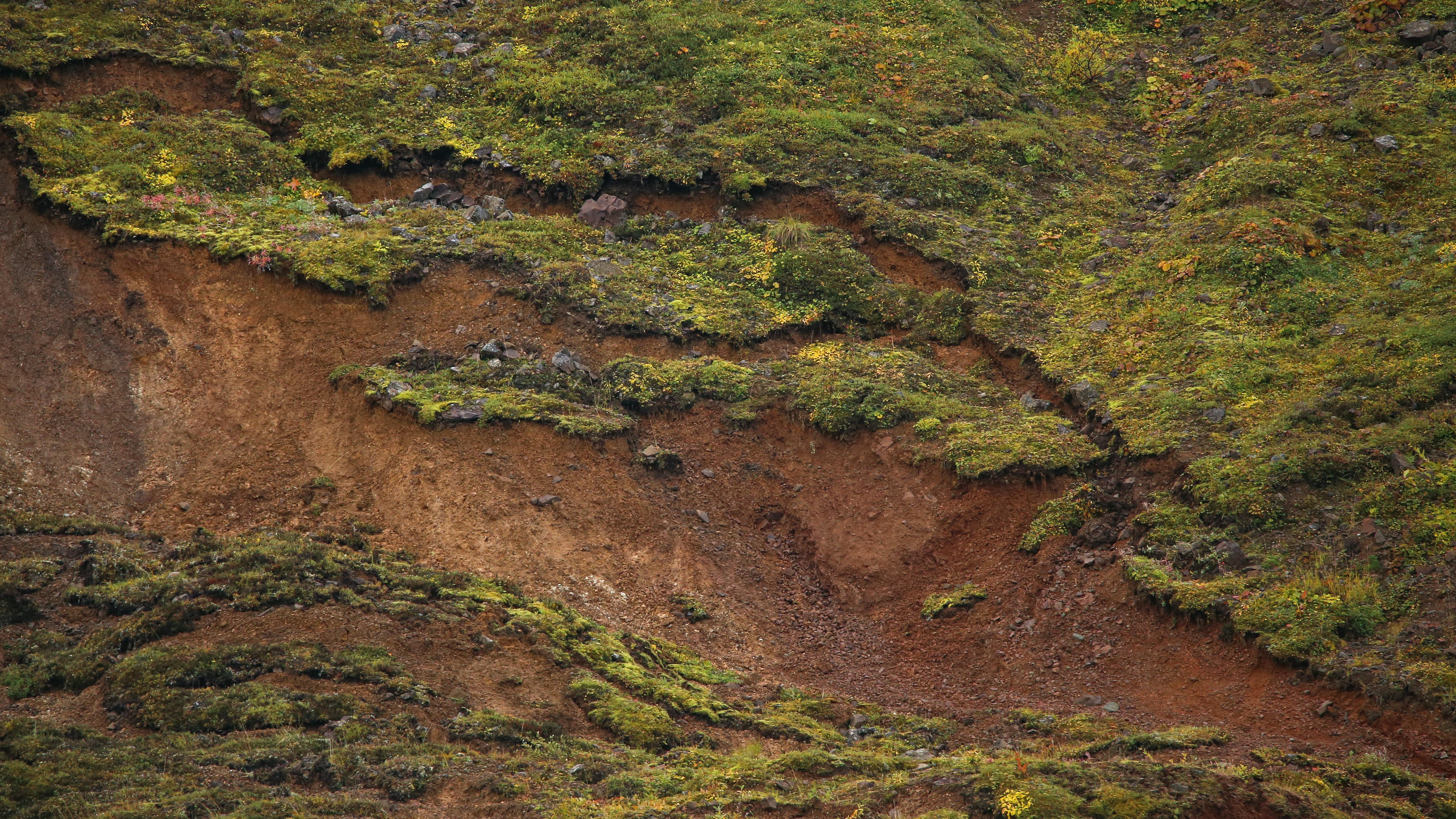 permafrost slump on hillside exposes large area of earth