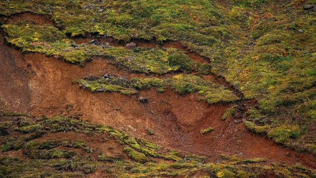 permafrost slump on hillside exposes large area of earth