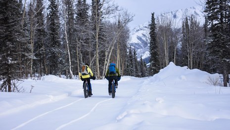 two people riding bikes on a snowy trail in a forest