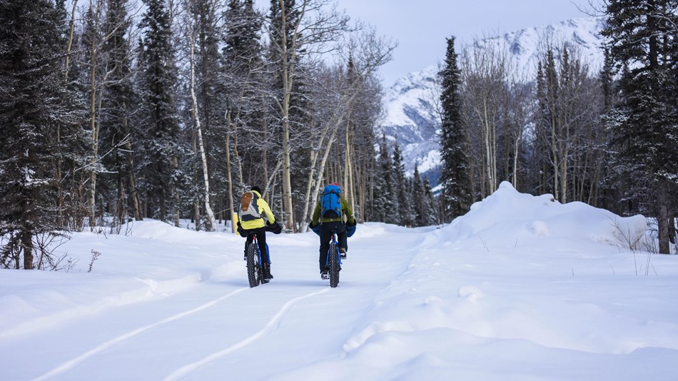 two people riding bikes on a snowy trail in a forest
