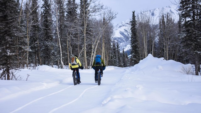 two people riding bikes on a snowy trail in a forest