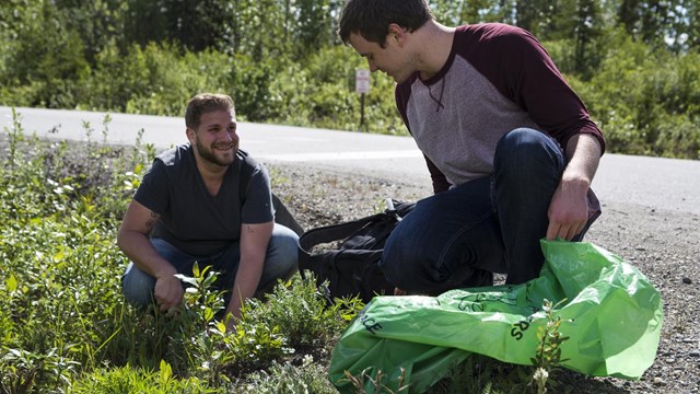 two volunteers work to pull invasive dandelions that grow along the side of the road