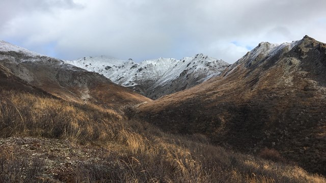 A brown mountainside of brush. The top of the ridgeline is covered with a layer of fresh snow.