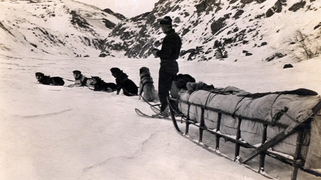 historic black and white image of a man standing next to a team of dogs and large sled