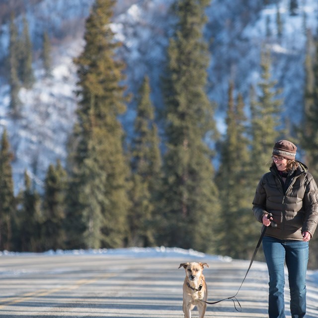 a woman walking a dog on a paved road