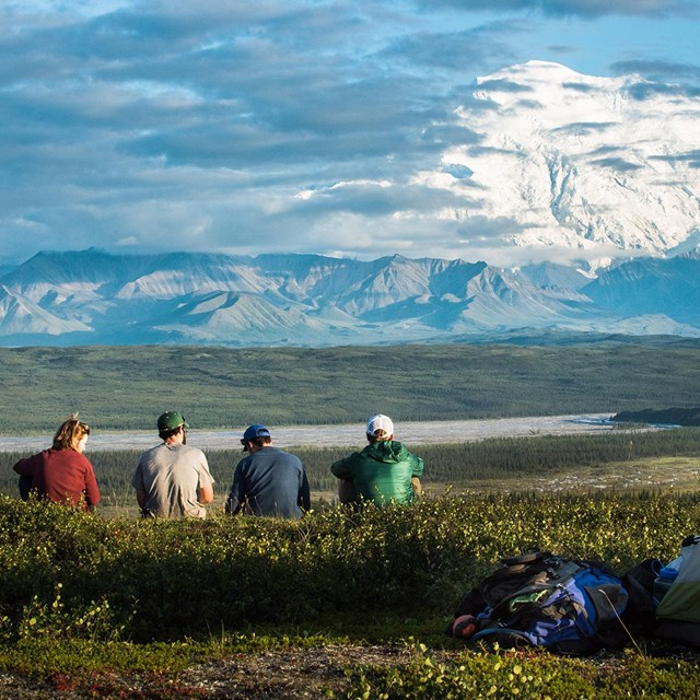 four people sit near a tent and look out towards mount denali