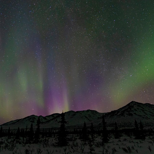 Streaks of green, pink, and purple aurora above snowy mountains lights up a starry night sky.
