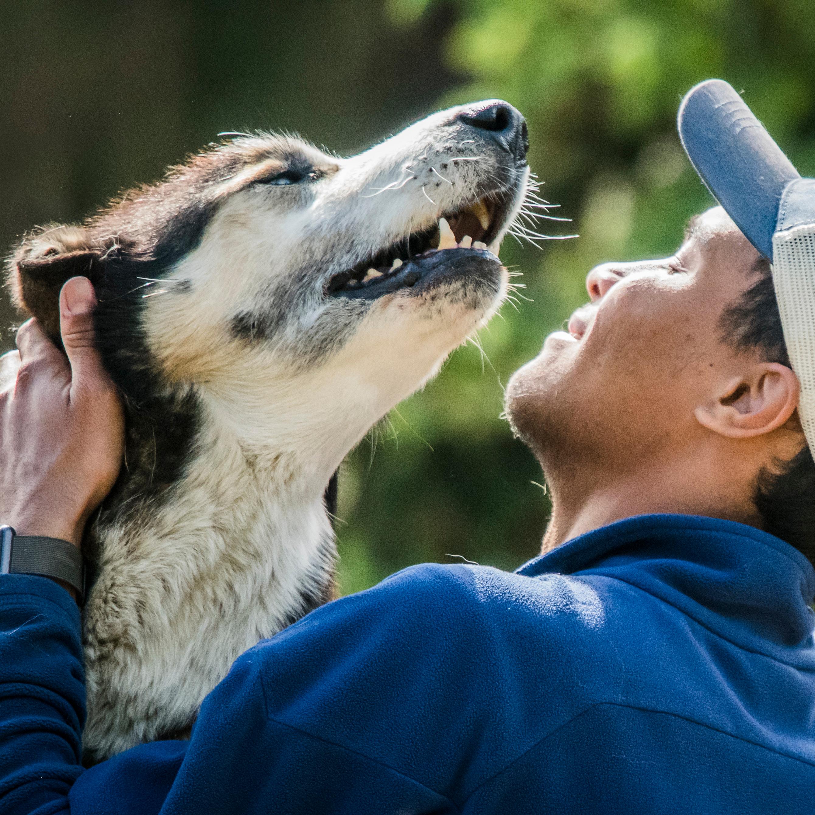 A smiling man in a ballcap pets a husky