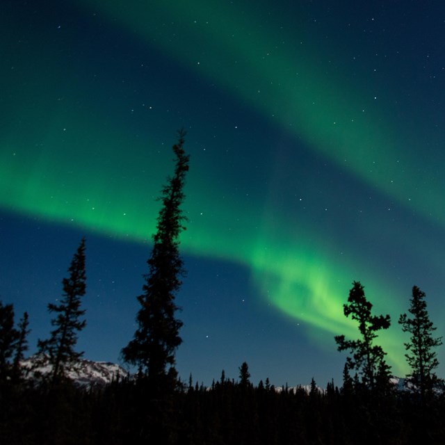 green bands of aurora in a dark sky