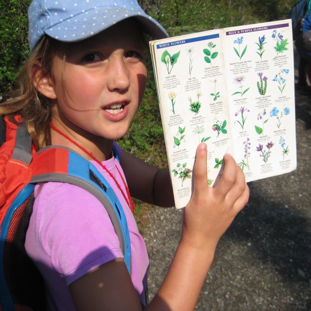 a young girl holding a plant guide