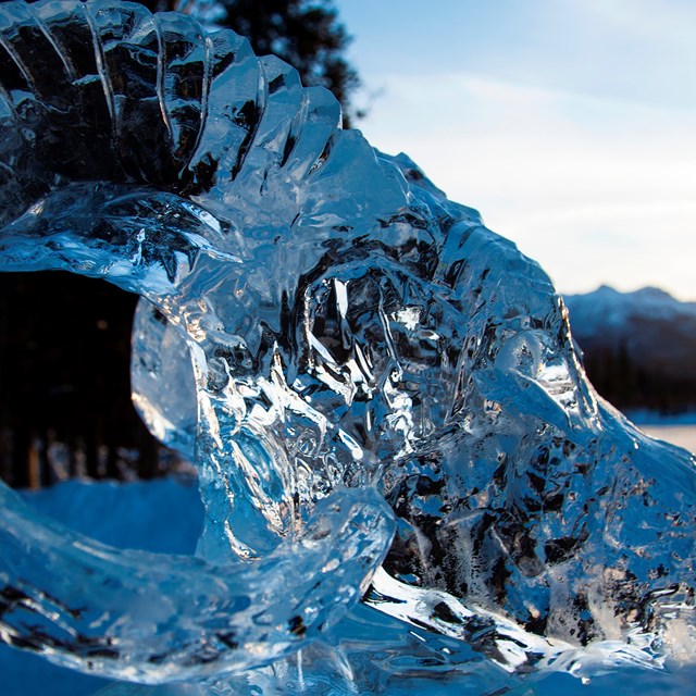 ice sculpture of a sheep's head