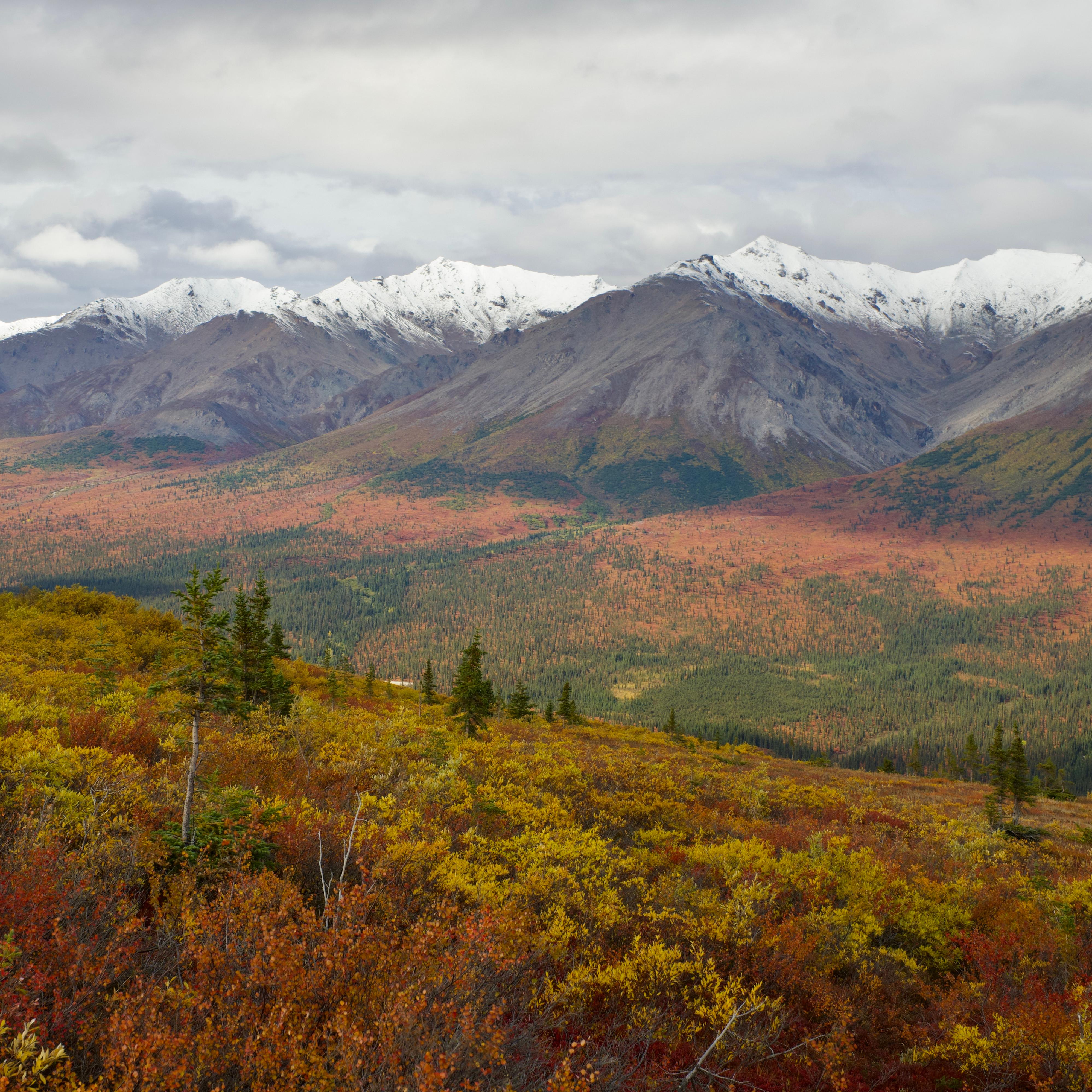 Fresh snow on a mountain ridgetop, with bright red and yellow fall colors below the snow line.