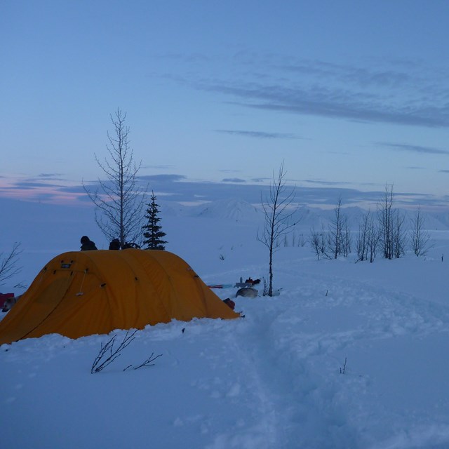 a yellow tent pitched in a snowy field