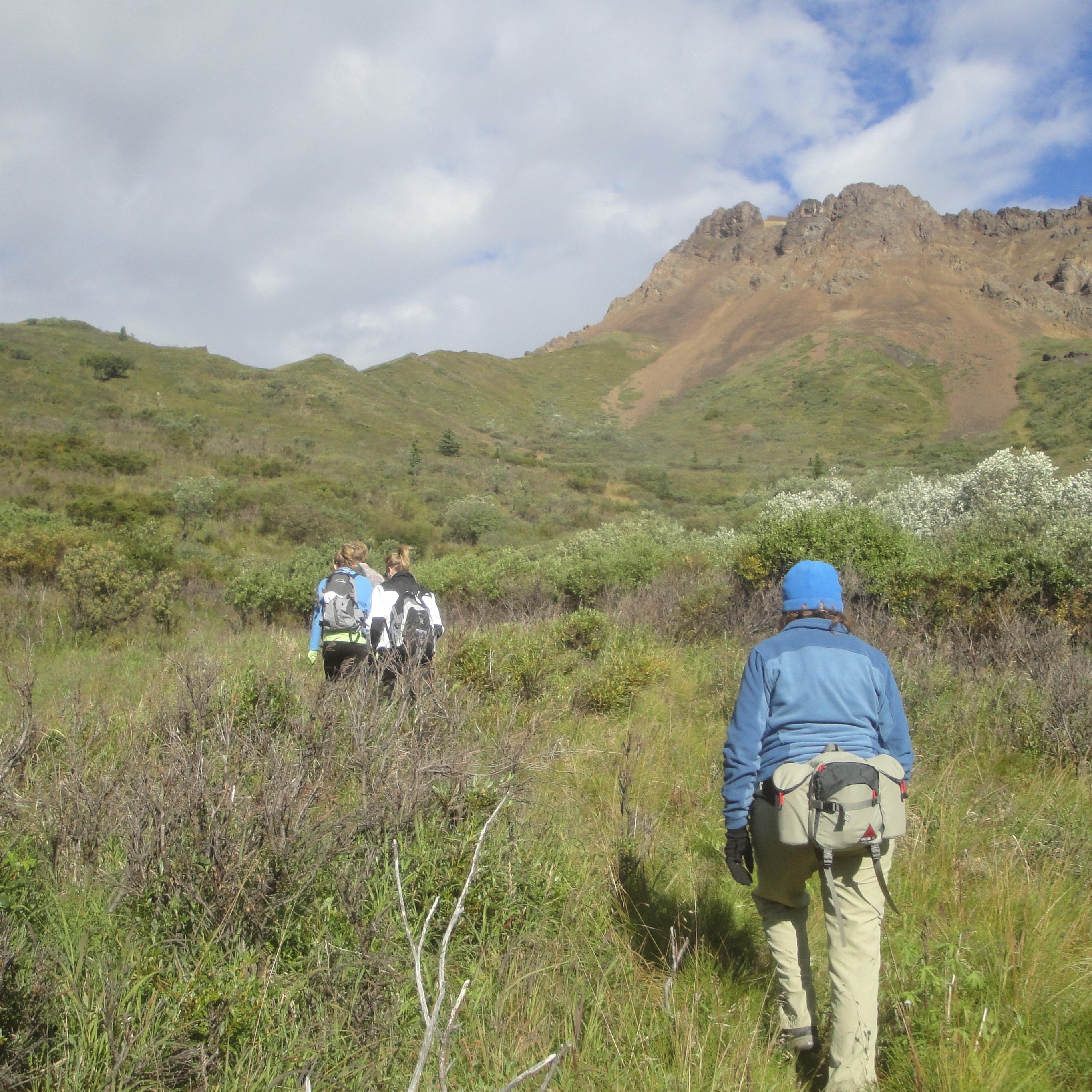denali discovery hike