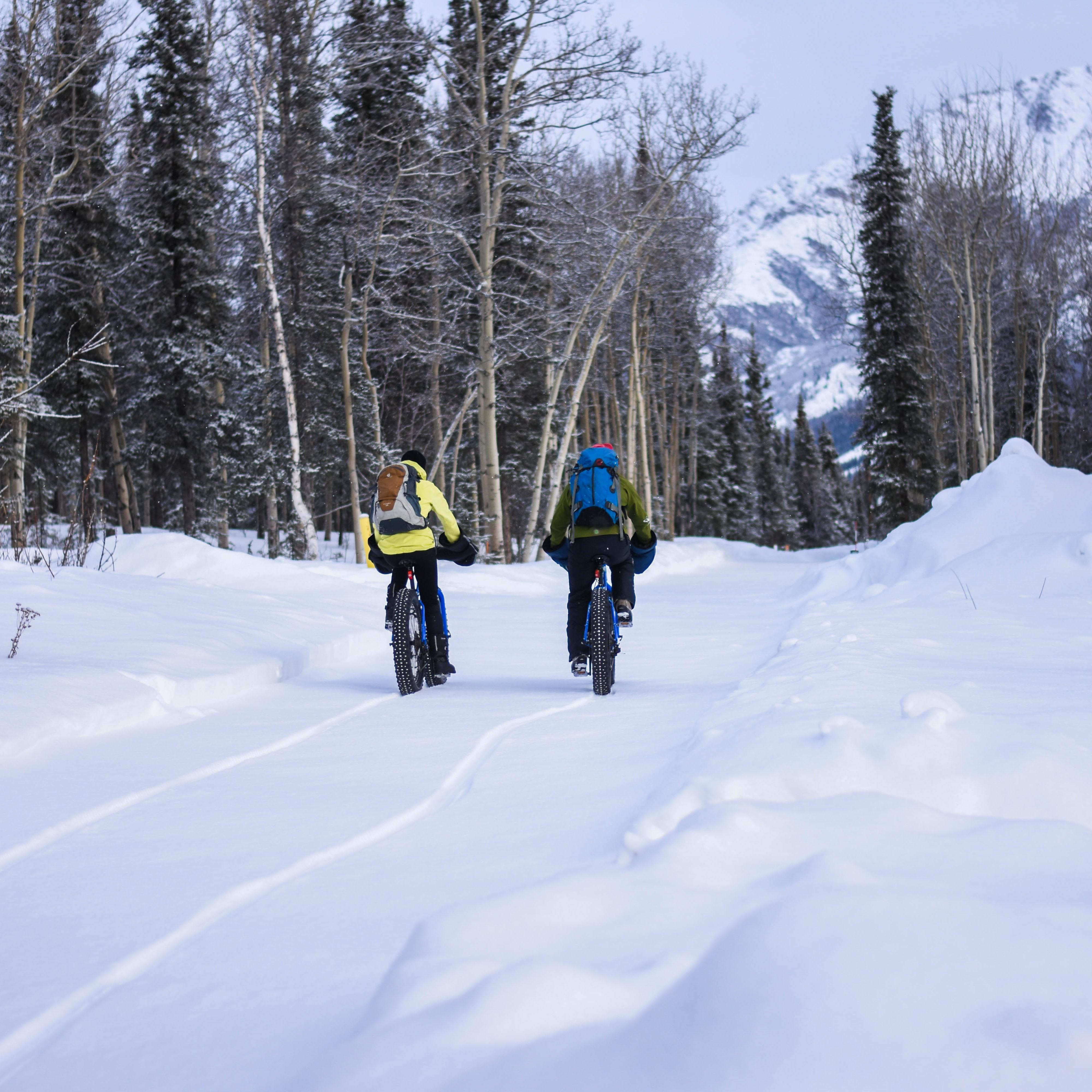 Two people riding bikes on a snowy trail in a forest.