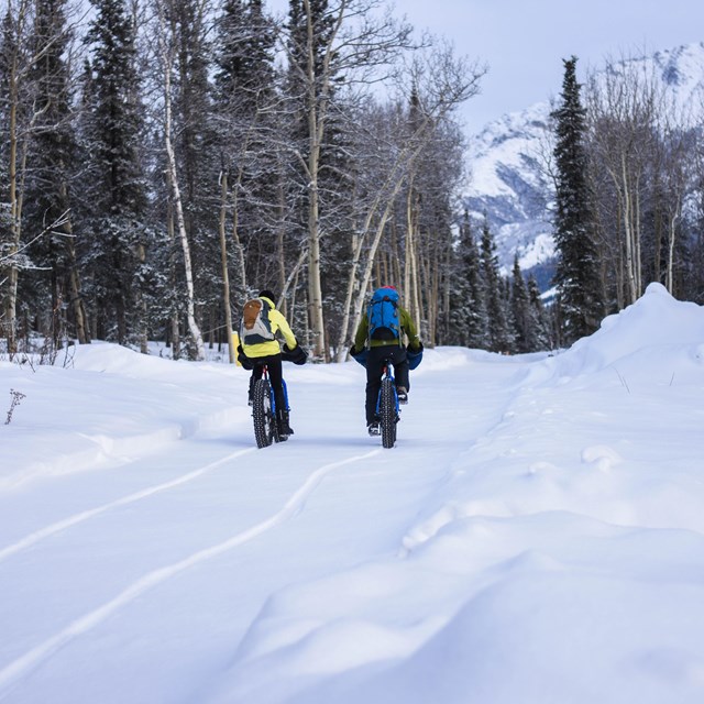 two people riding bikes on a snowy trail in a forest