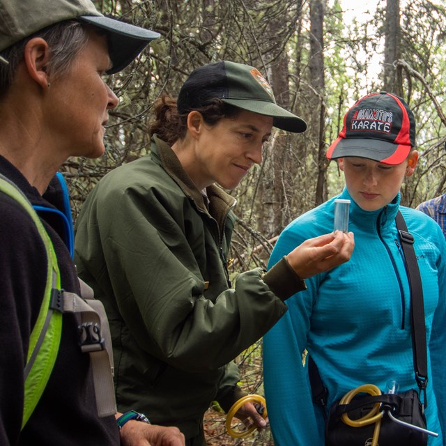 A ranger holds a container with an insect inside for a student and teacher to view.