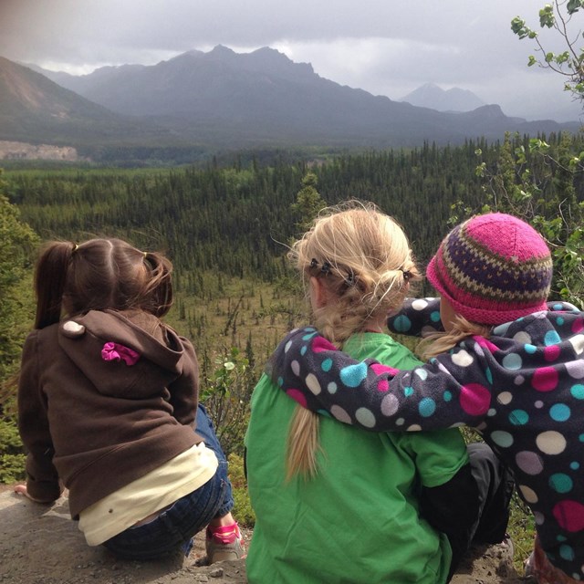 How to Visit Denali National Park: Practical Guide - Paula Pins