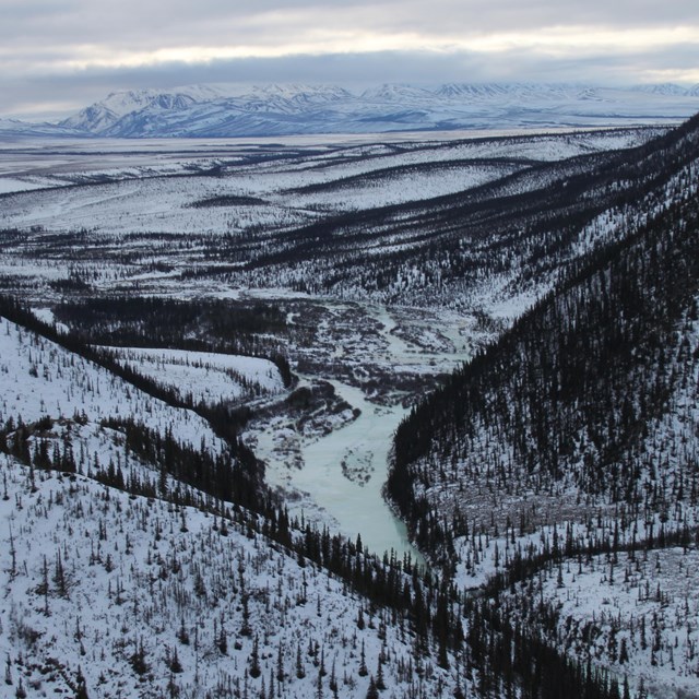 a snowy, hilly landscape